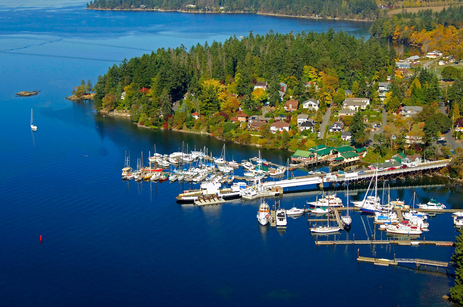 A tranquil view of Brentwood Bay on Vancouver Island with calm waters, forested hills, and marina boats