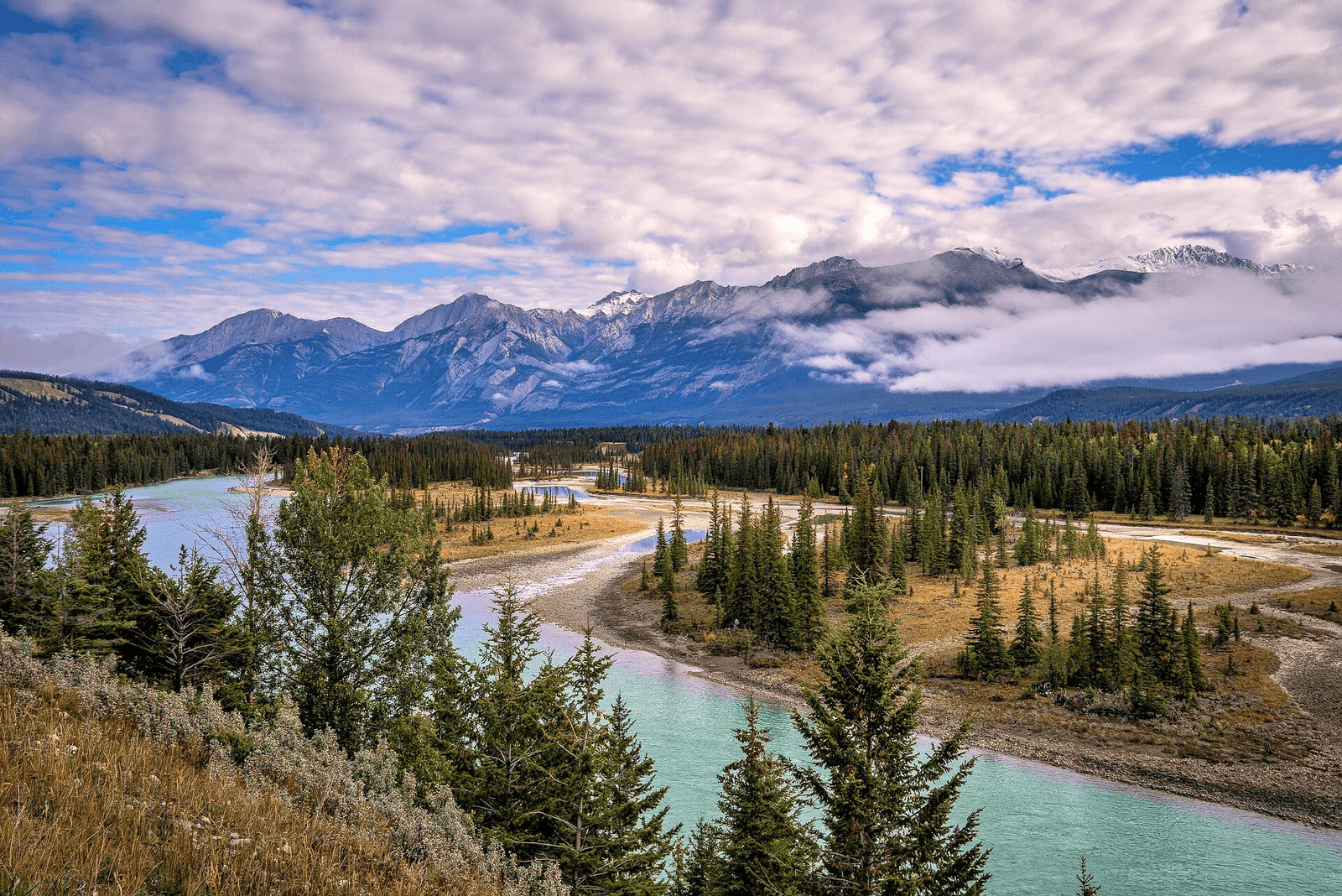 Mountain landscape with turquoise lake and wildlife in Jasper National Park, Canada