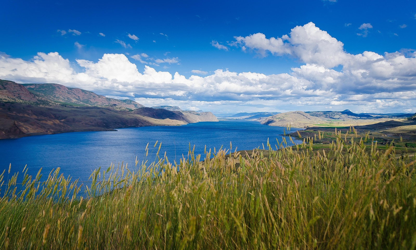 Panoramic view of Kamloops with rolling hills, Thompson River, and rustic landscapes under a blue sky.
