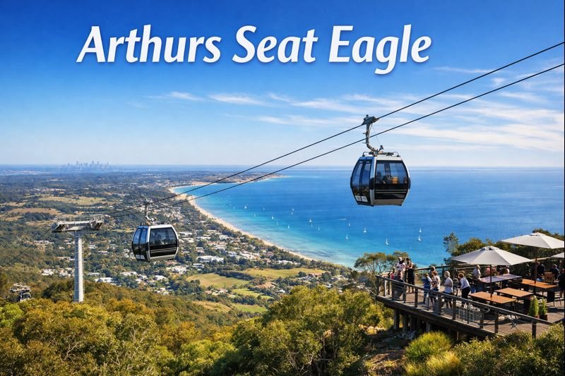 Arthurs Seat Eagle gondola cabins soaring above the Mornington Peninsula with panoramic views of Port Phillip Bay and Melbourne skyline on a bright sunny day