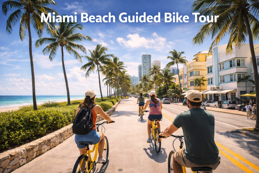 Guided bike tour along Miami Beach oceanfront paths with cyclists, palm trees, and Art Deco architecture