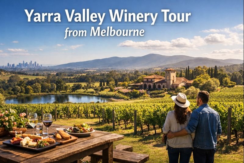 Yarra Valley winery tour from Melbourne featuring vineyard views, gourmet lunch table, and a couple enjoying scenic wine country in bright daylight